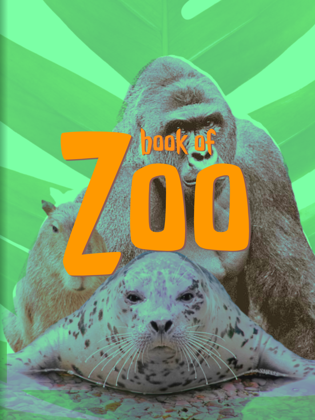 Book Of Zoo Cover